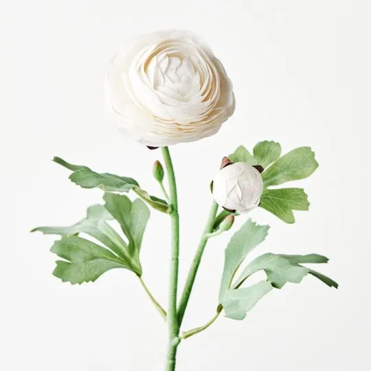 12 x Ranunculus Spray