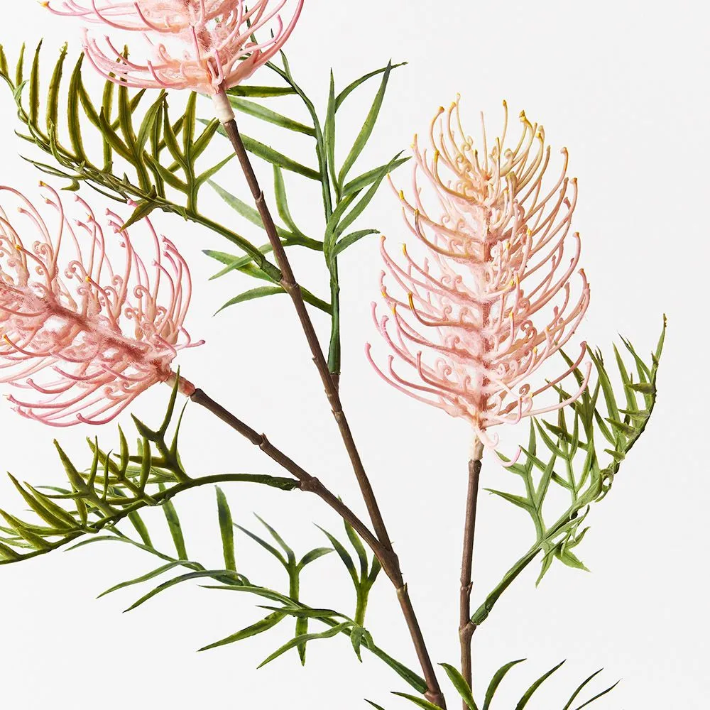 Grevillea Spray Pack of 12