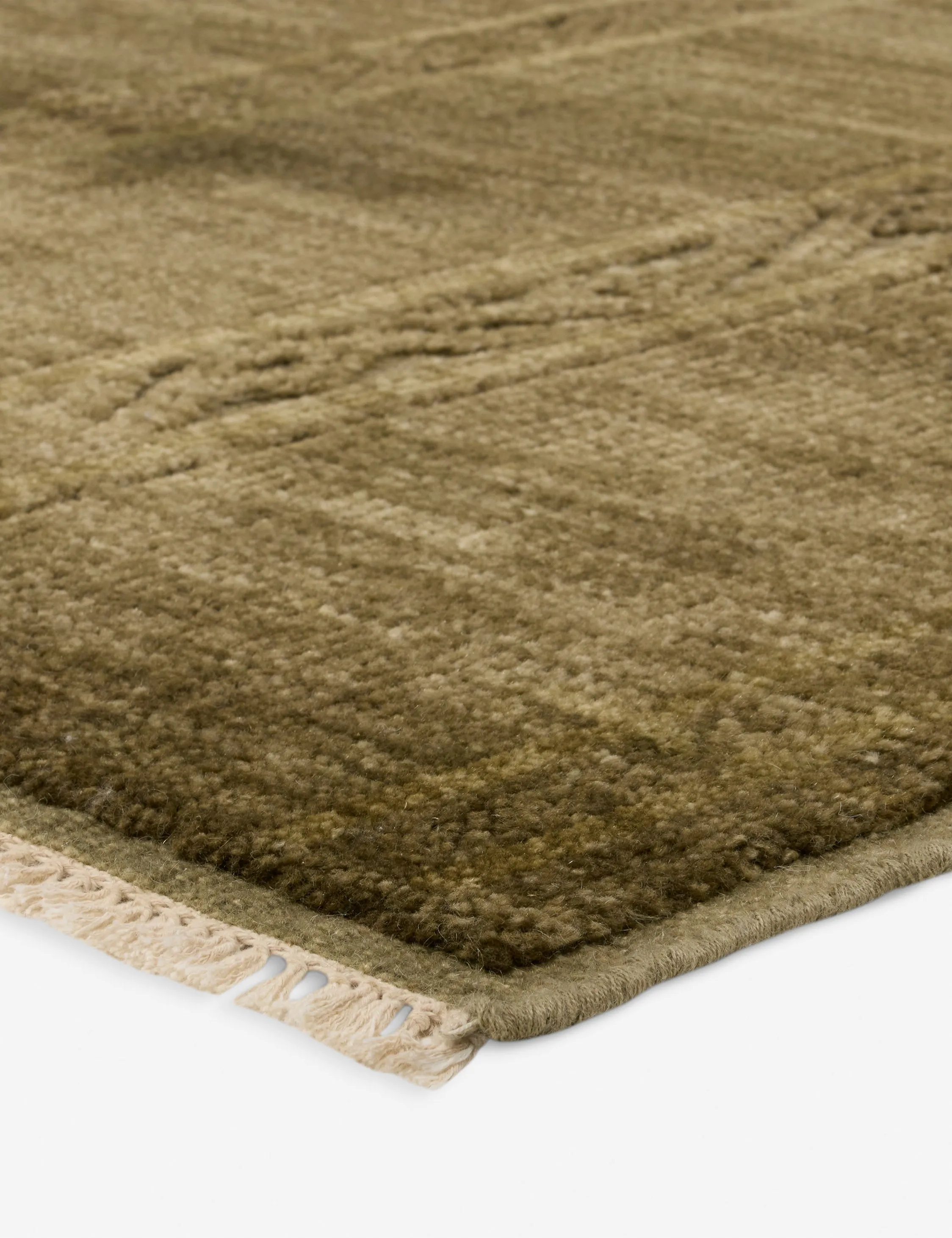 Pomeroy Hand-Knotted Wool Rug